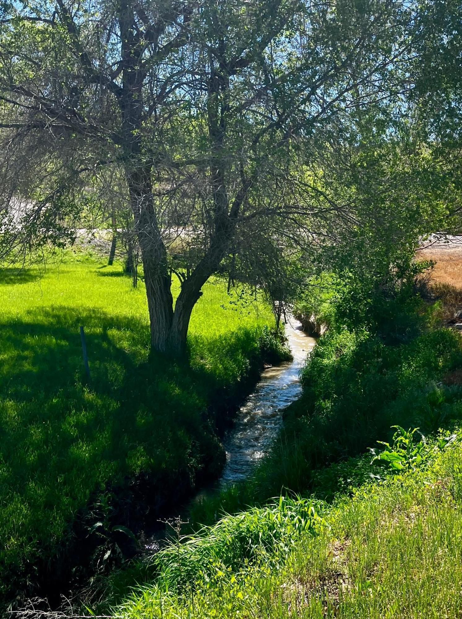 Let'S Go ! Fisherman, Families, Pools One Minute From Your Door, Comfort, Location Perfect, Amenity-Rich, Pup Friendly, Discover An Exceptional Wyoming Stay, Thermopolis River Walk Home At Hot Springs State Park, 'Where Families And Fisherman Stay' מראה חיצוני תמונה
